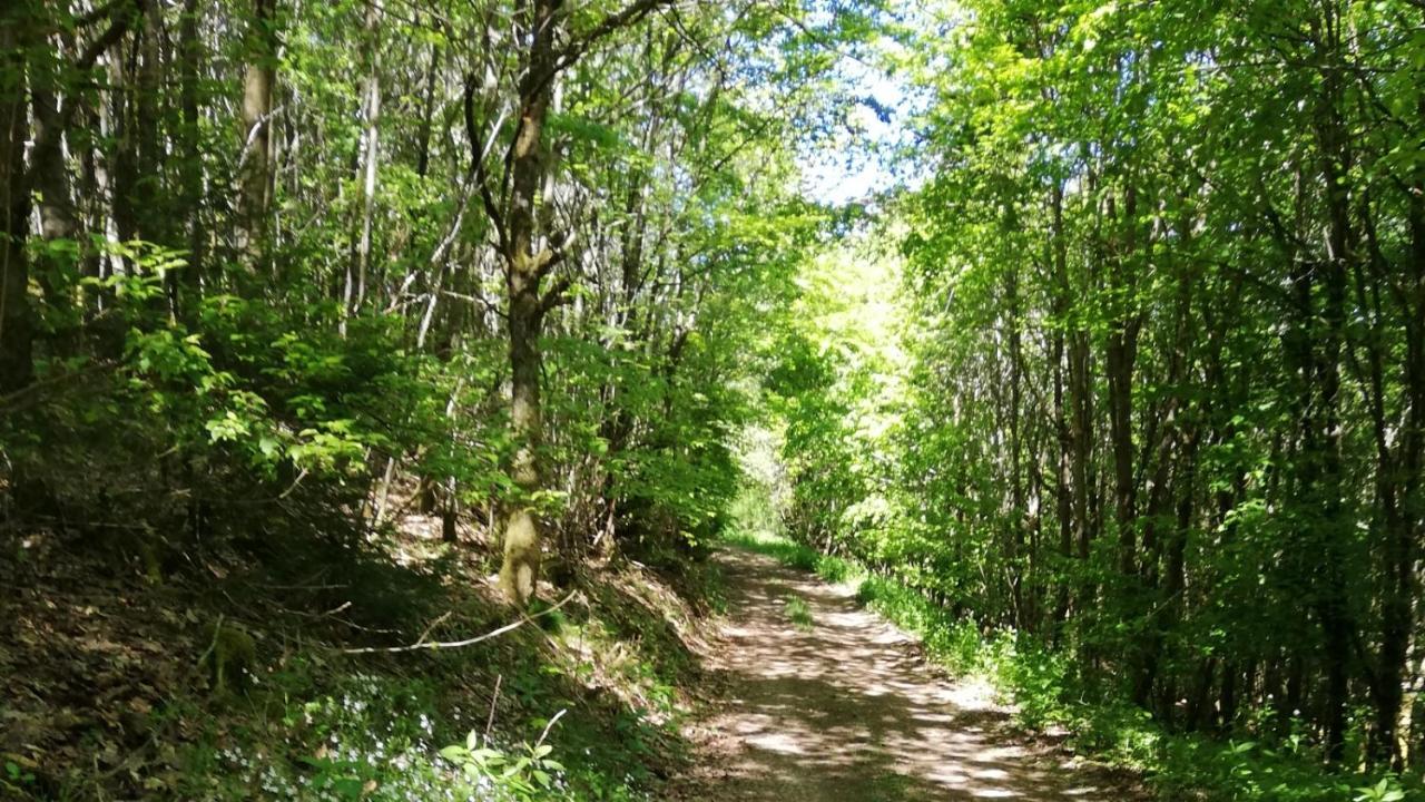Eifel-Ferienhaus Marga Prüm Zewnętrze zdjęcie