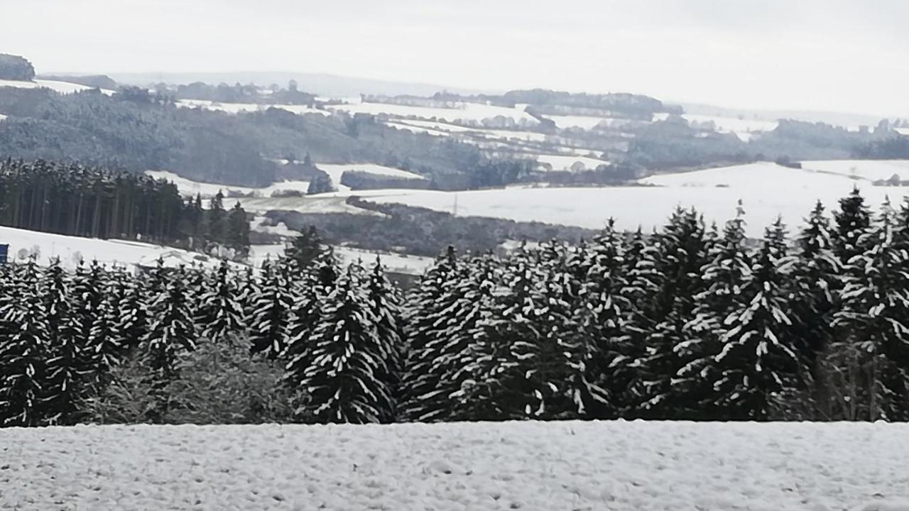 Eifel-Ferienhaus Marga Prüm Zewnętrze zdjęcie
