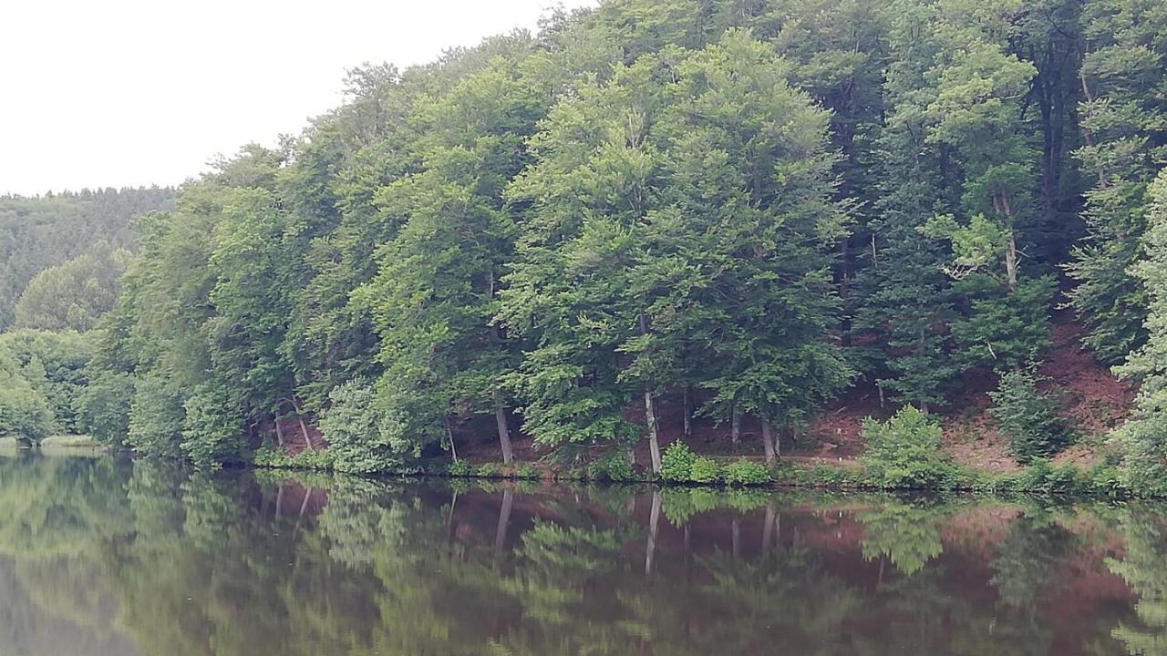 Eifel-Ferienhaus Marga Prüm Zewnętrze zdjęcie